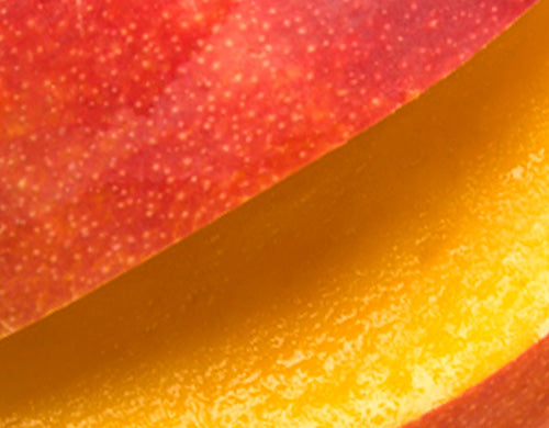 Mangifera Indica (Mango) Fruit Extract