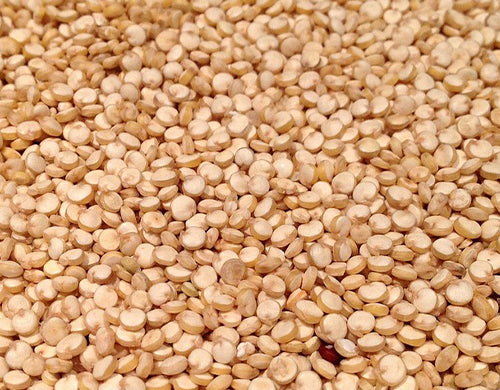 Hydrolyzed Quinoa