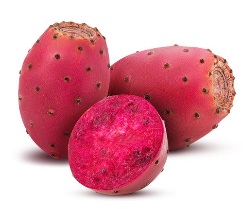 Prickly Pear Cactus